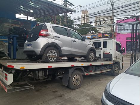 Guincho Próximo da Rodovia Bandeirantes 